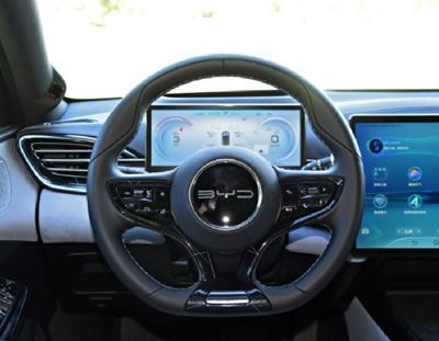 BYD���� 10.25Ӣ���Ǳ���